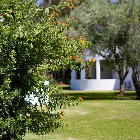 Hotel Flamingo Santa Margherita di Pula Cameră foto